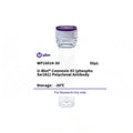 U-Blot® Connexin 43 (Phospho Ser261) Rabbit Polyclonal Antibody – Figure 1 of 1