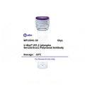 U-Blot® IPP-2 (Phospho Ser120/S121) Rabbit Polyclonal Antibody – Figure 1 of 1