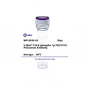 U-Blot® Trk B (Phospho Tyr706/Y707) Rabbit Polyclonal Antibody – Figure 1 of 1