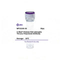 U-Blot® Histone H2A (Phospho Thr121) Rabbit Polyclonal Antibody – Figure 1 of 1