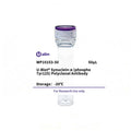 U-Blot® Synuclein-α (Phospho Tyr125) Rabbit Polyclonal Antibody – Figure 1 of 1