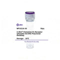 U-Blot® Histamine H1 Receptor (Phospho Ser398) Rabbit Polyclonal Antibody – Figure 1 of 1