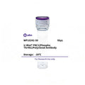 U-Blot® PRC1(Phospho Thr481) Rabbit Polyclonal Antibody – Figure 1 of 1