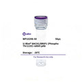 U-Blot® BACH1/BRIP1 (Phospho Thr1133) Rabbit Polyclonal Antibody – Figure 1 of 1