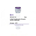 U-Blot® Doublecortin (Phospho Ser297) Rabbit Polyclonal Antibody – Figure 1 of 1