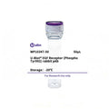 U-Blot® EGF Receptor (Phospho Tyr992) Rabbit Polyclonal Antibody – Figure 1 of 1