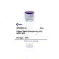 U-Blot® PKM2 (Phospho Tyr105) Rabbit Polyclonal Antibody – Figure 1 of 1