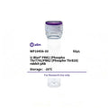 U-Blot® PRK1 (Phospho Thr774)/PRK2 (Phospho Thr816) Rabbit Polyclonal Antibody – Figure 1 of 1
