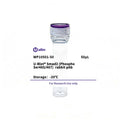 U-Blot® Smad2 (Phospho Ser465/467) Rabbit Polyclonal Antibody – Figure 1 of 1