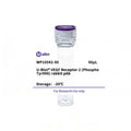 U-Blot® VEGF Receptor 2 (Phospho Tyr996) Rabbit Polyclonal Antibody – Figure 1 of 1