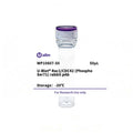 U-Blot® Rac1/CDC42 (Phospho Ser71) Rabbit Polyclonal Antibody – Figure 1 of 1