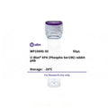 U-Blot® XPA (Phospho Ser196) Rabbit Polyclonal Antibody – Figure 1 of 1