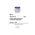 U-Blot® DYRK2/4 (Phospho Tyr382/264) Rabbit Polyclonal Antibody – Figure 1 of 1
