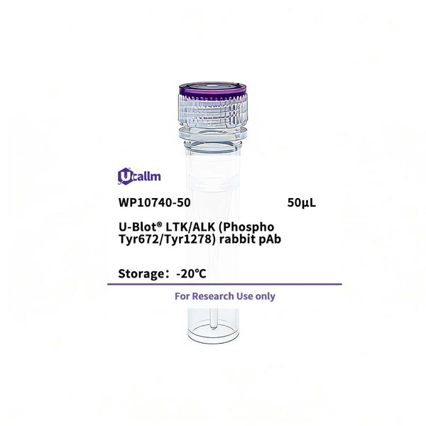 U-Blot® LTK/ALK (Phospho Tyr672/Tyr1278) Rabbit Polyclonal Antibody – Figure 1 of 1