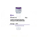 U-Blot® Androgen Receptor (Phospho Ser81) Rabbit Polyclonal Antibody – Figure 1 of 1