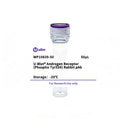 U-Blot® Androgen Receptor (Phospho Tyr534) Rabbit Polyclonal Antibody – Figure 1 of 1