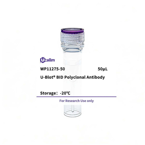 U-Blot® BID Rabbit Polyclonal Antibody – Figure 1 of 1
