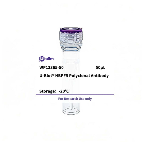 U-Blot® NBPF5 Rabbit Polyclonal Antibody – Figure 1 of 1