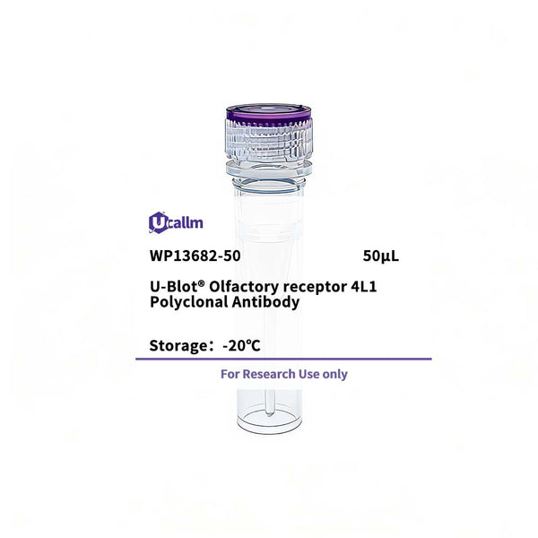 U-Blot® Olfactory receptor 4L1 Rabbit Polyclonal Antibody – Figure 1 of 1