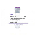 U-Blot® Olfactory receptor 5M11 Rabbit Polyclonal Antibody – Figure 1 of 1