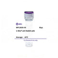 U-Blot® p53 Rabbit Polyclonal Antibody (WP13839) – Figure 1 of 1