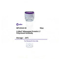 U-Blot® Ribosomal Protein L7 Rabbit Polyclonal Antibody – Figure 1 of 1