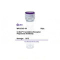 U-Blot® Fractalkine Receptor Rabbit Polyclonal Antibody – Figure 1 of 1