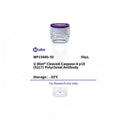 U-Blot® Cleaved-Caspase-8 p18 (S217) Rabbit Polyclonal Antibody – Figure 1 of 1