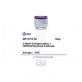 U-Blot® Collagen alpha-1(XXVIII) Rabbit Polyclonal Antibody – Figure 1 of 1