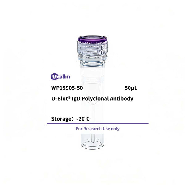 U-Blot® IgD Rabbit Polyclonal Antibody – Figure 1 of 1