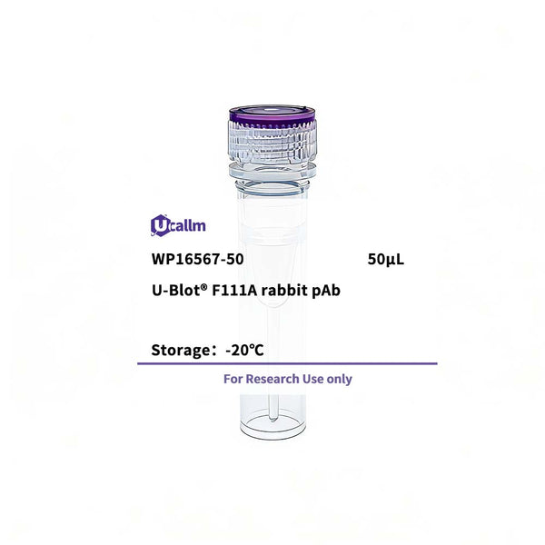 U-Blot® F111A Rabbit Polyclonal Antibody – Figure 1 of 1