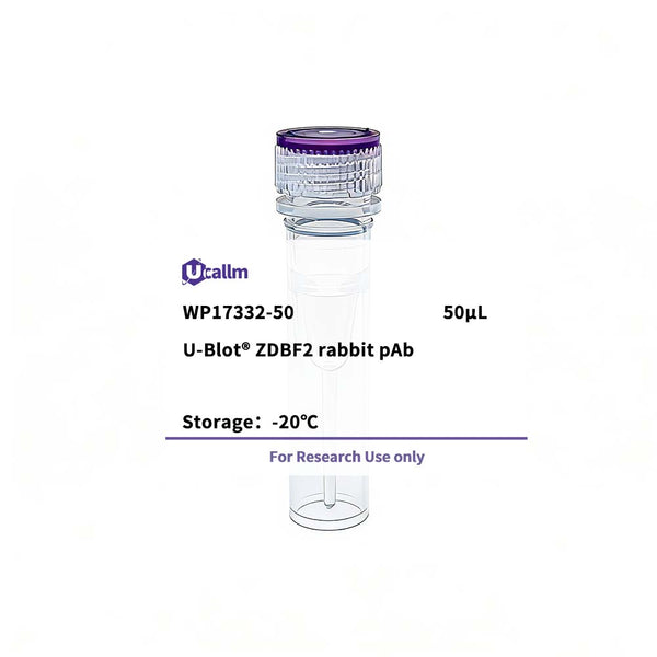 U-Blot® ZDBF2 Rabbit Polyclonal Antibody – Figure 1 of 1