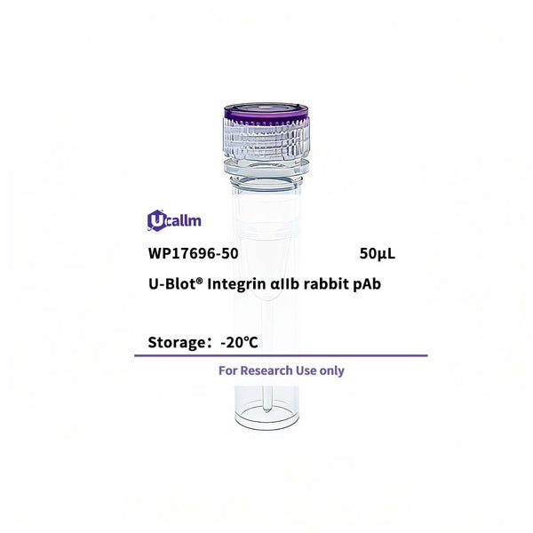 U-Blot® Integrin αIIb Rabbit Polyclonal Antibody – Figure 1 of 1