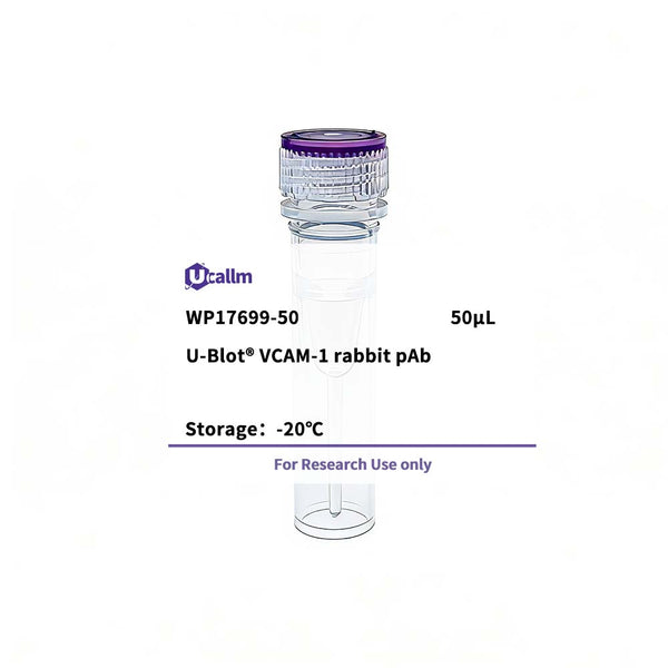 U-Blot® VCAM-1 Rabbit Polyclonal Antibody – Figure 1 of 1