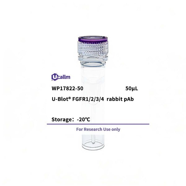 U-Blot® FGFR1/2/3/4 Rabbit Polyclonal Antibody – Figure 1 of 1