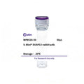 U-Blot® DUSP13 Rabbit Polyclonal Antibody – Figure 1 of 1