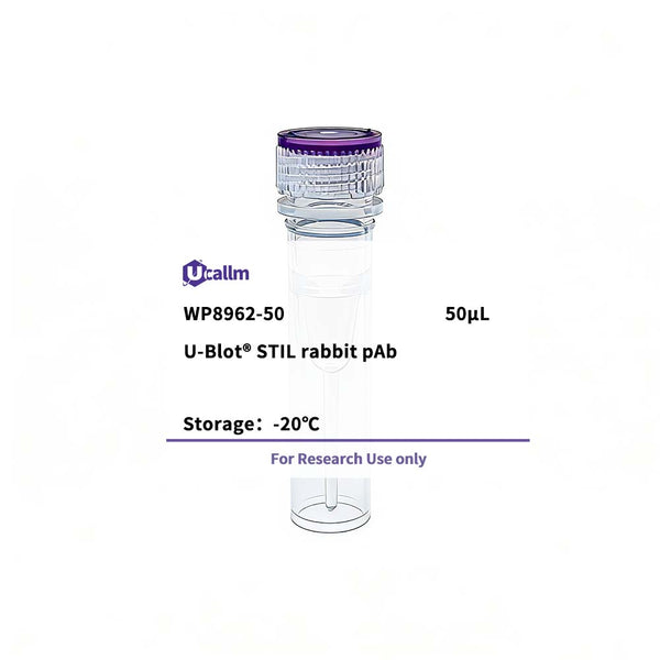 U-Blot® STIL Rabbit Polyclonal Antibody – Figure 1 of 1