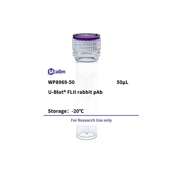 U-Blot® FLII Rabbit Polyclonal Antibody – Figure 1 of 1