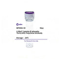 U-Blot® Catenin-β (Phospho Thr41/S45) Rabbit Polyclonal Antibody – Figure 1 of 1