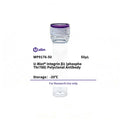 U-Blot® Integrin β1 (Phospho Thr788) Rabbit Polyclonal Antibody – Figure 1 of 1