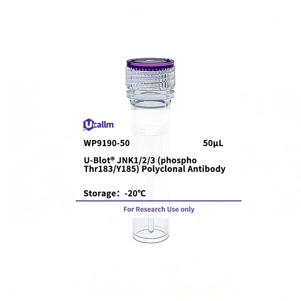 U-Blot® JNK1/2/3 (Phospho Thr183/Y185) Rabbit Polyclonal Antibody – Figure 1 of 1