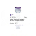 U-Blot® NFκB-p105 (Phospho Ser907) Rabbit Polyclonal Antibody – Figure 1 of 1