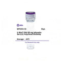 U-Blot® PKA IIβ reg (Phospho Ser113) Rabbit Polyclonal Antibody – Figure 1 of 1
