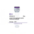 U-Blot® HP1γ (Phospho Ser93) Rabbit Polyclonal Antibody – Figure 1 of 1