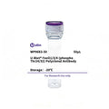 U-Blot® FoxO1/3/4 (Phospho Thr24/32) Rabbit Polyclonal Antibody – Figure 1 of 1