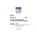 U-Blot® PKD1/2/3 (Phospho Ser738/S742) Rabbit Polyclonal Antibody – Figure 1 of 1