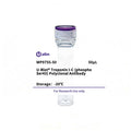 U-Blot® Troponin I-C (Phospho Ser43) Rabbit Polyclonal Antibody – Figure 1 of 1