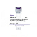U-Blot® Casein Kinase IIβ (Phospho Ser209) Rabbit Polyclonal Antibody – Figure 1 of 1