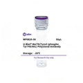 U-Blot® MerTK/Tyro3 (Phospho Tyr749/681) Rabbit Polyclonal Antibody – Figure 1 of 1