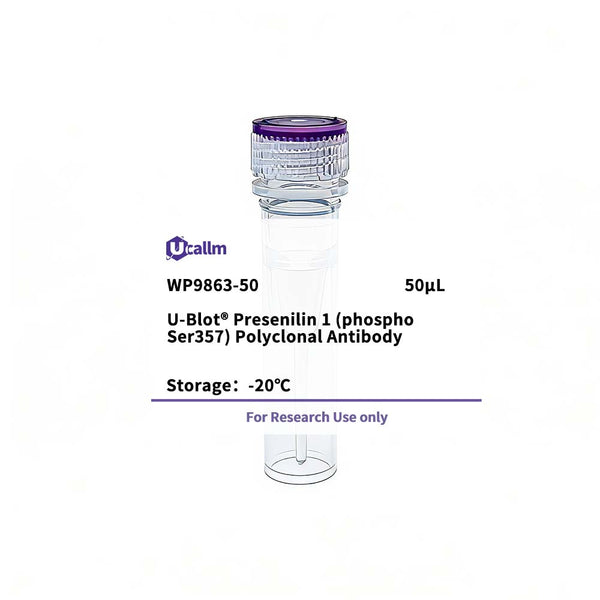 U-Blot® Presenilin 1 (Phospho Ser357) Rabbit Polyclonal Antibody – Figure 1 of 1